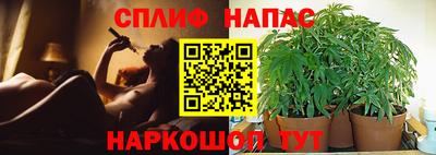 индика Гусь-Хрустальный