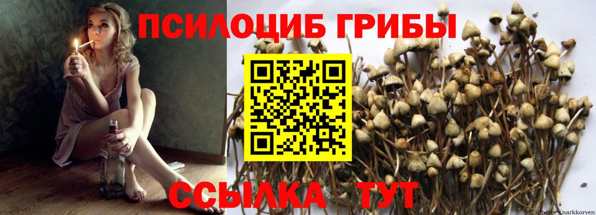 Псилоцибиновые грибы Magic Shrooms Озёры