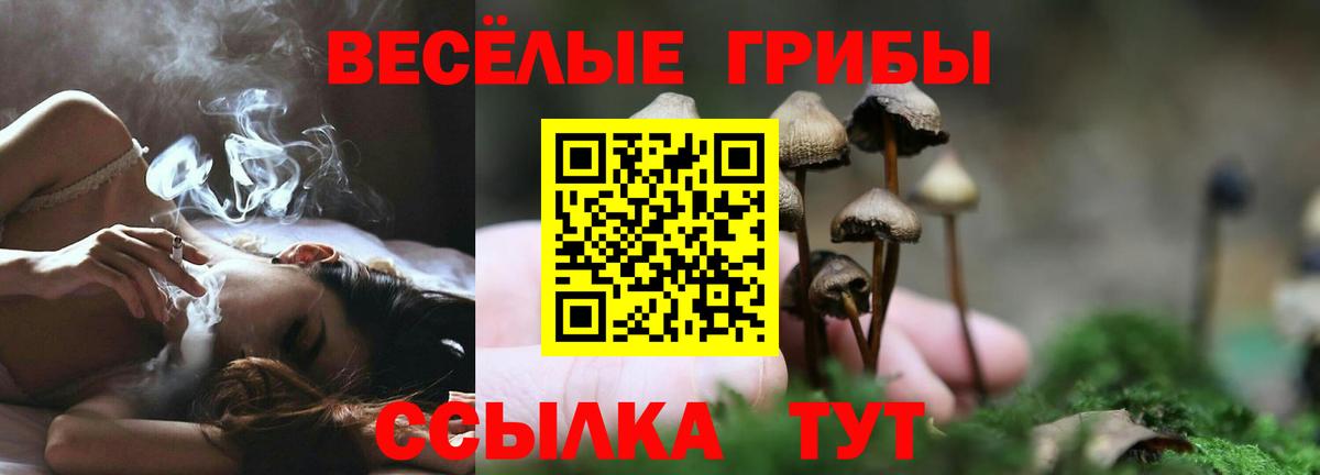 Озёры  Псилоцибиновые грибы ЛСД  Псилоцибиновые грибы прущие грибы  Вход с VPN 