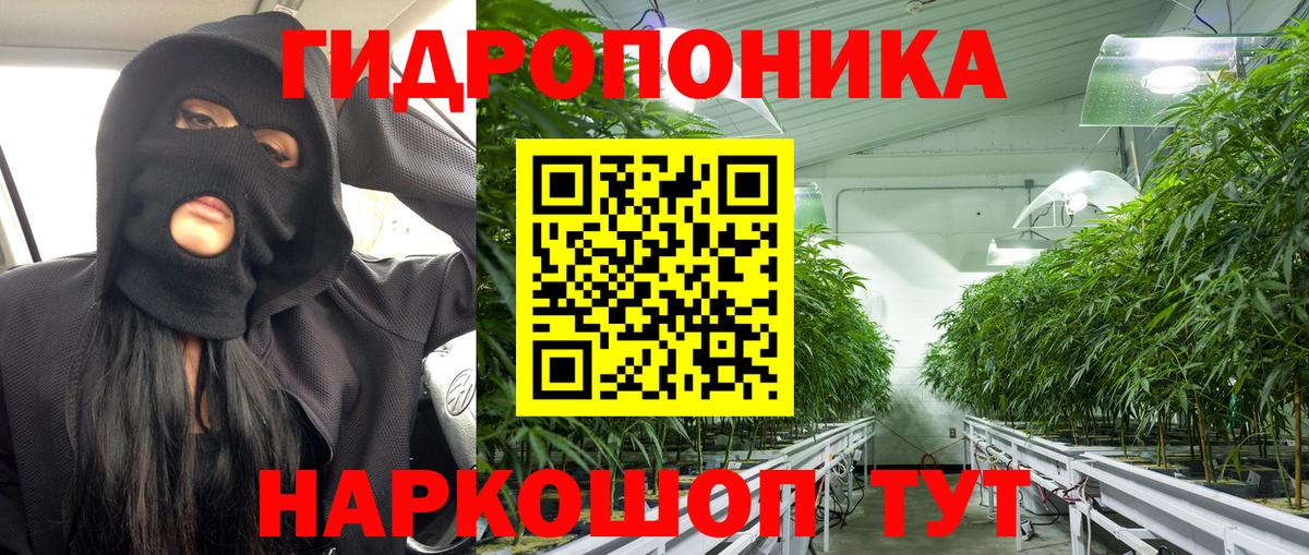 Конопля марихуана Озёры